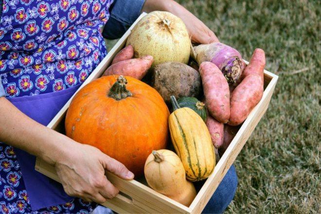 Cozy Fall Recipes For Cleaner Eating with Healthy Mrs. Miller's Homemade Egg Noodles