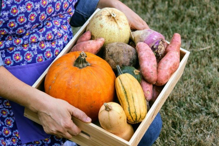 Cozy Fall Recipes For Cleaner Eating with Healthy Mrs. Miller's Homemade Egg Noodles